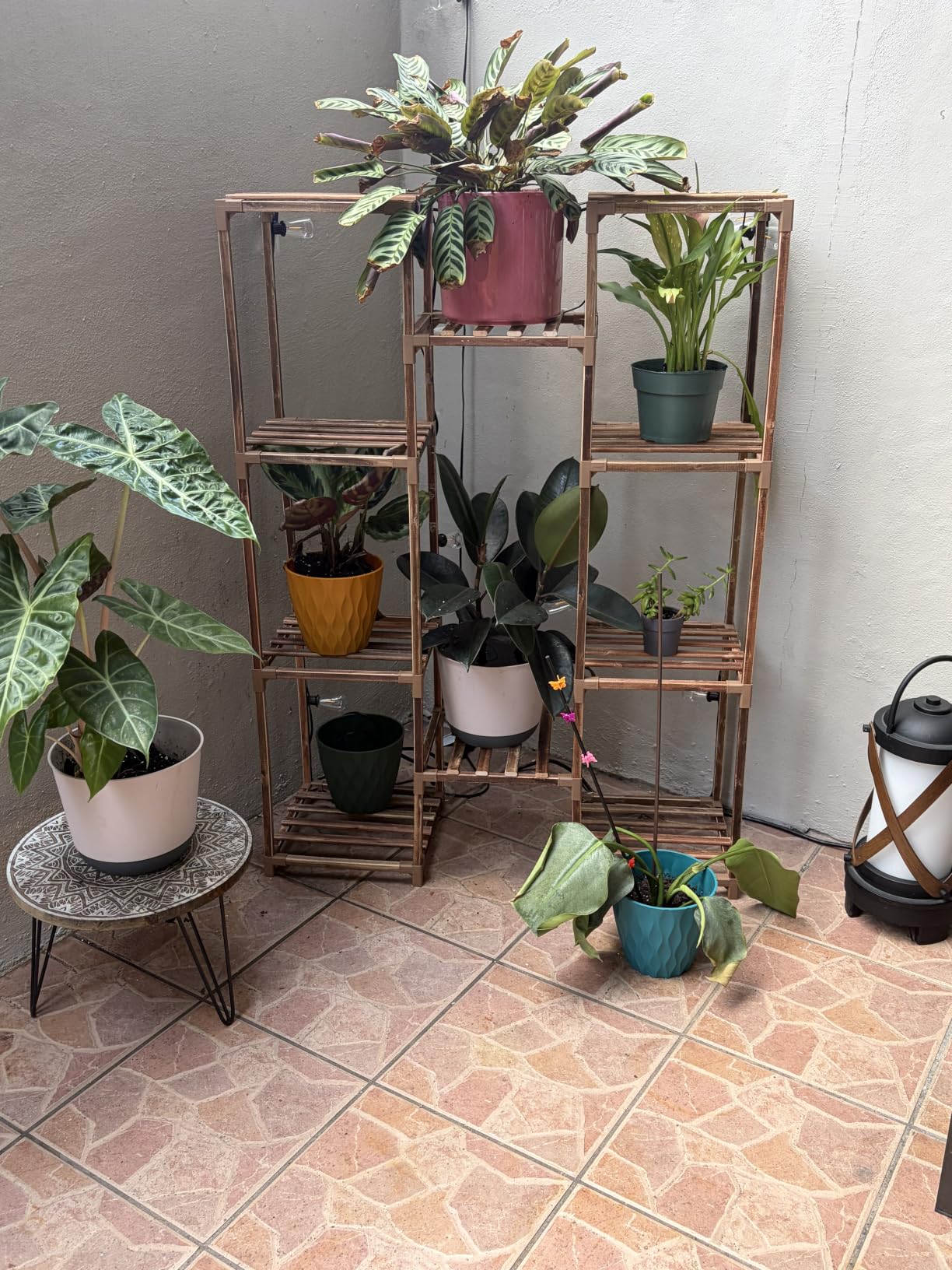 Bamworld Plant Stand Indoor Outdoor Tall Plant Shelf for Multiple Plants Pots Wood Flower Stand Large Flower Holder for Living Room, Patio, Balcony, Garden Decor, Brown customer photo 2