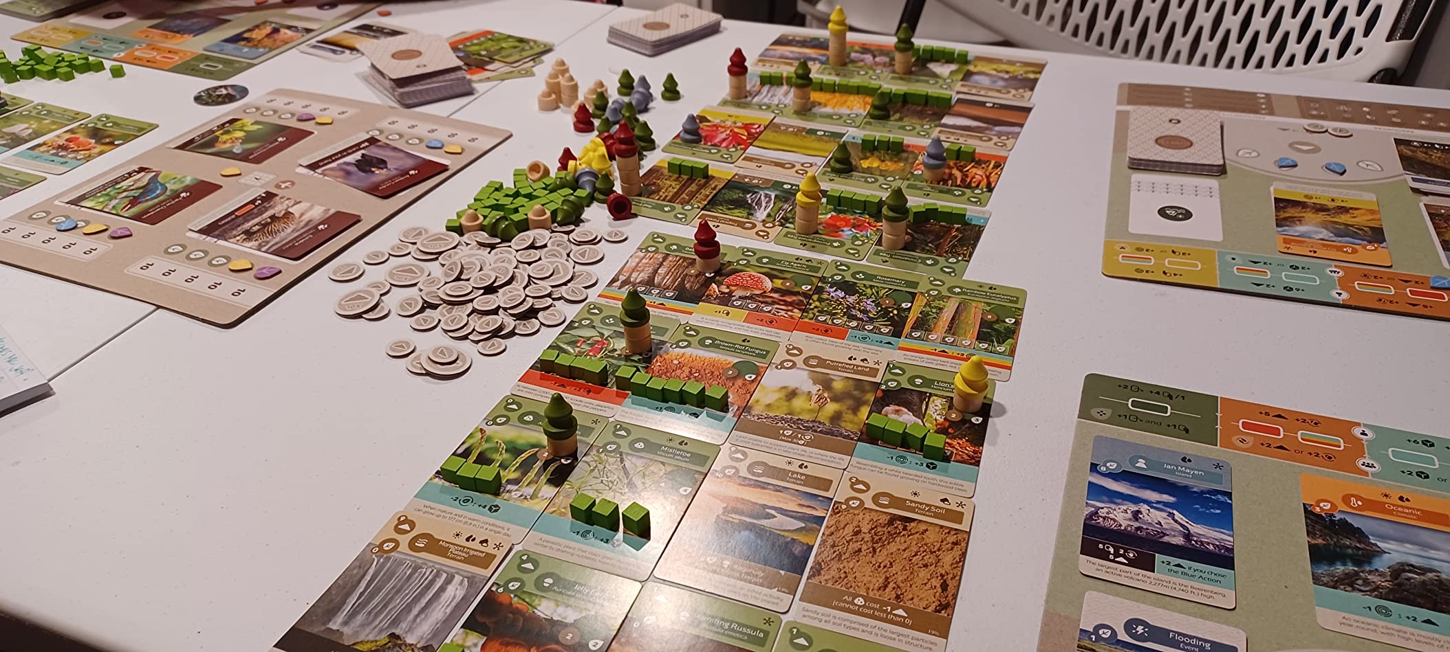 Inside Up Games Earth | Board Game of the Year 2023 | Ecosystem Building, Card Drafting, Action Selection | Create Amazing Natural Synergies | 1 to 5 Players | 45 to 90 Minute | Age 13+ customer photo 1