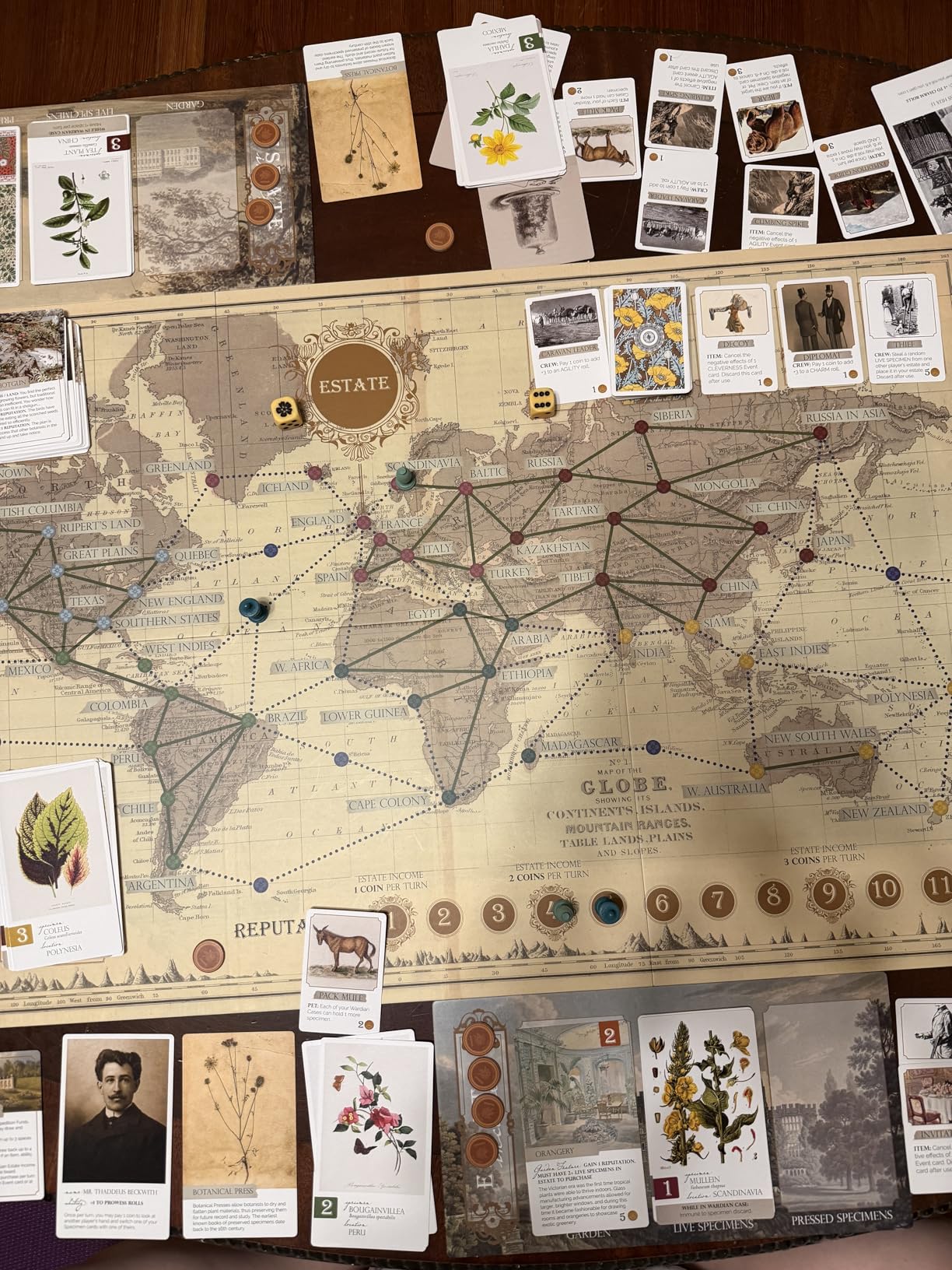 Botany Board Game | Family Board Game | Victorian Flower Hunting for Plant Lovers | Ages 8 and Up | for 1-5 Players | Easy to Learn - by Dux Somnium Games customer photo 1