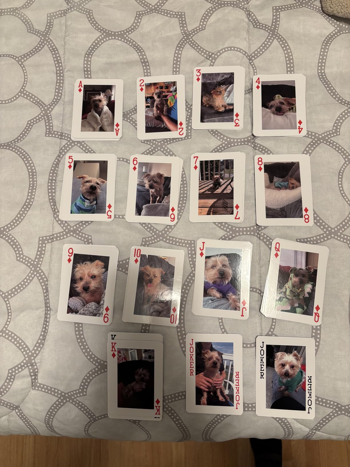 LuckyLight Custom Playing Cards Personalized with Your Photo Picture Both Sides, Unique Deck Card Games Gifts for Dog Pet Businesses Graduation Wedding Anniversary Valentines Christmas New Year Party customer photo 1