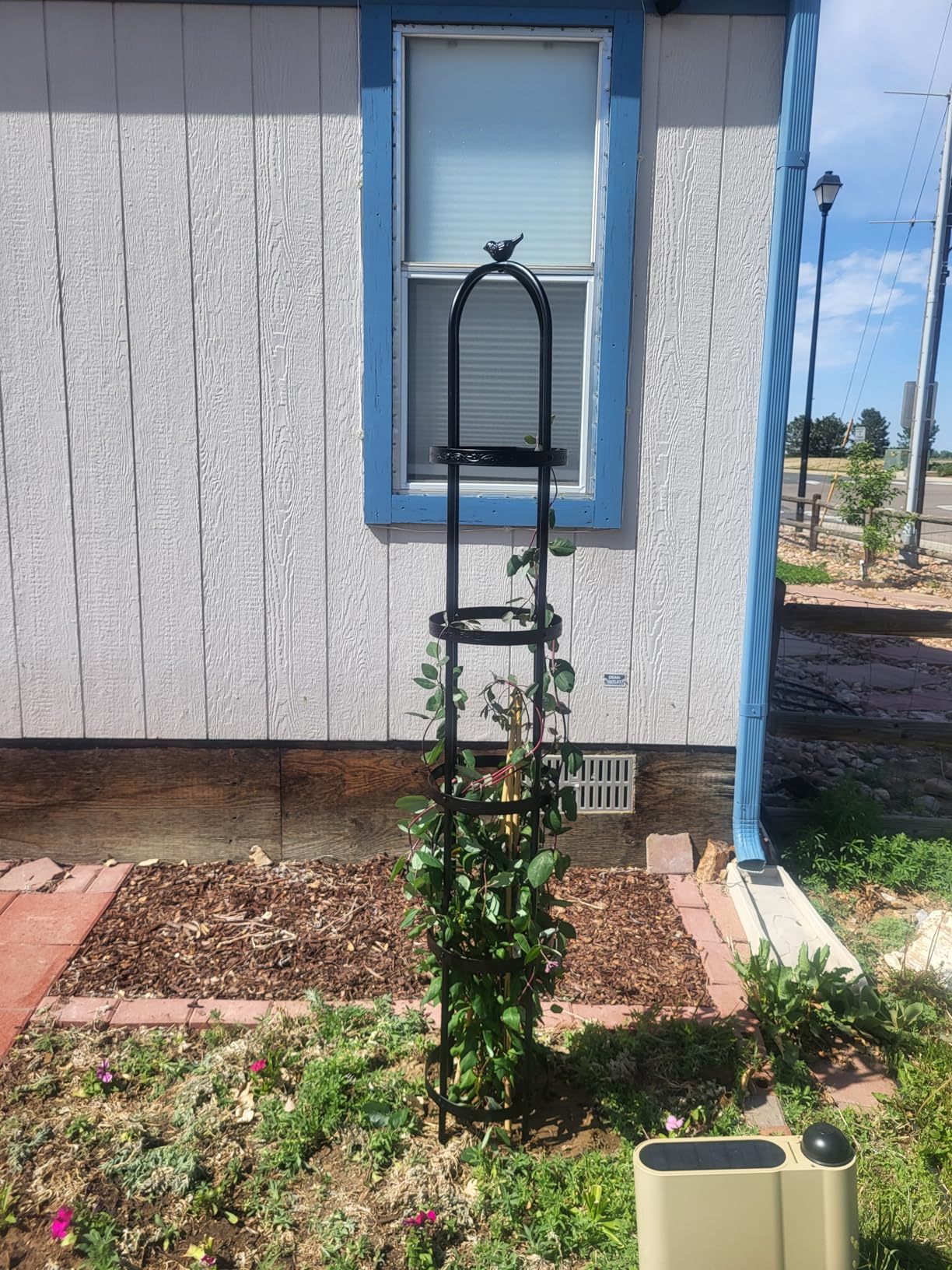 Evergreen 5 ft Garden Trellis for Climbing Plants Vines, Jasmine & Flowers, Rustproof Metal Obelisk Trellises, Outdoor & Indoor Plant Support for Potted Planters (Bronze) customer photo 1