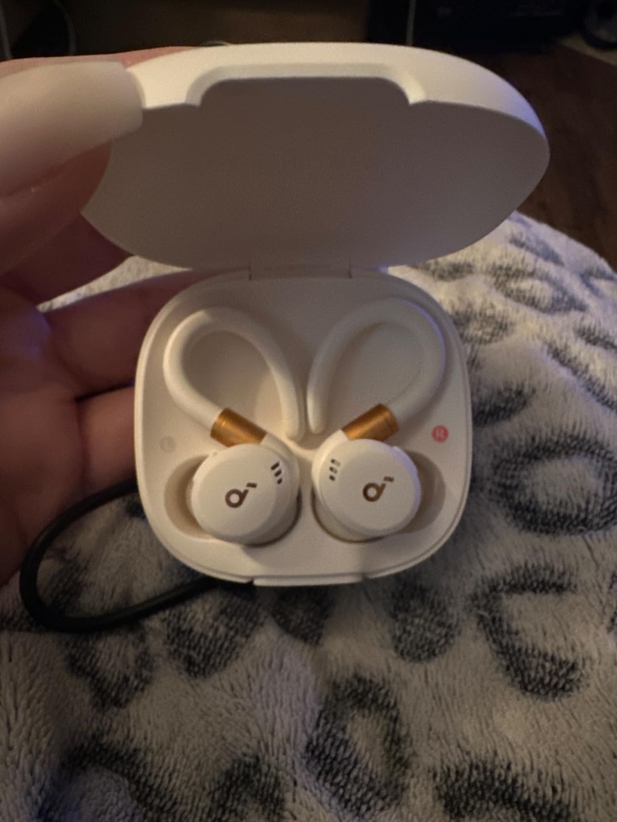 soundcore Sport X20 by Anker True-Wireless Workout Earbuds, Adjustable Ear Hooks, ANC, IP68, 48H Playtime customer photo 2