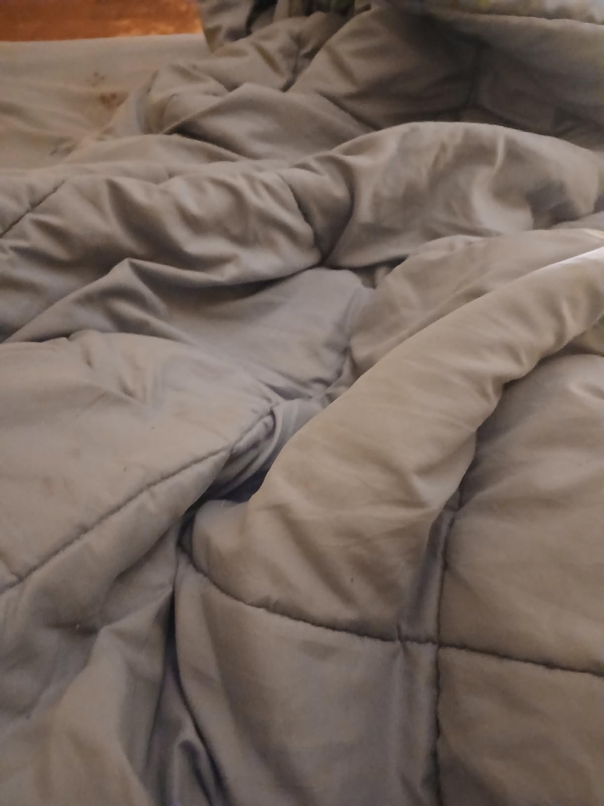 Queen Comforter Set, 7-Piece Bed in a Bag, Beige | OEKO-TEX Certified, Box-Stitched Design, 240 GSM Down Alternative Fill, All-Season Comfort, Sheets, Pillowcases & Shams customer photo 2