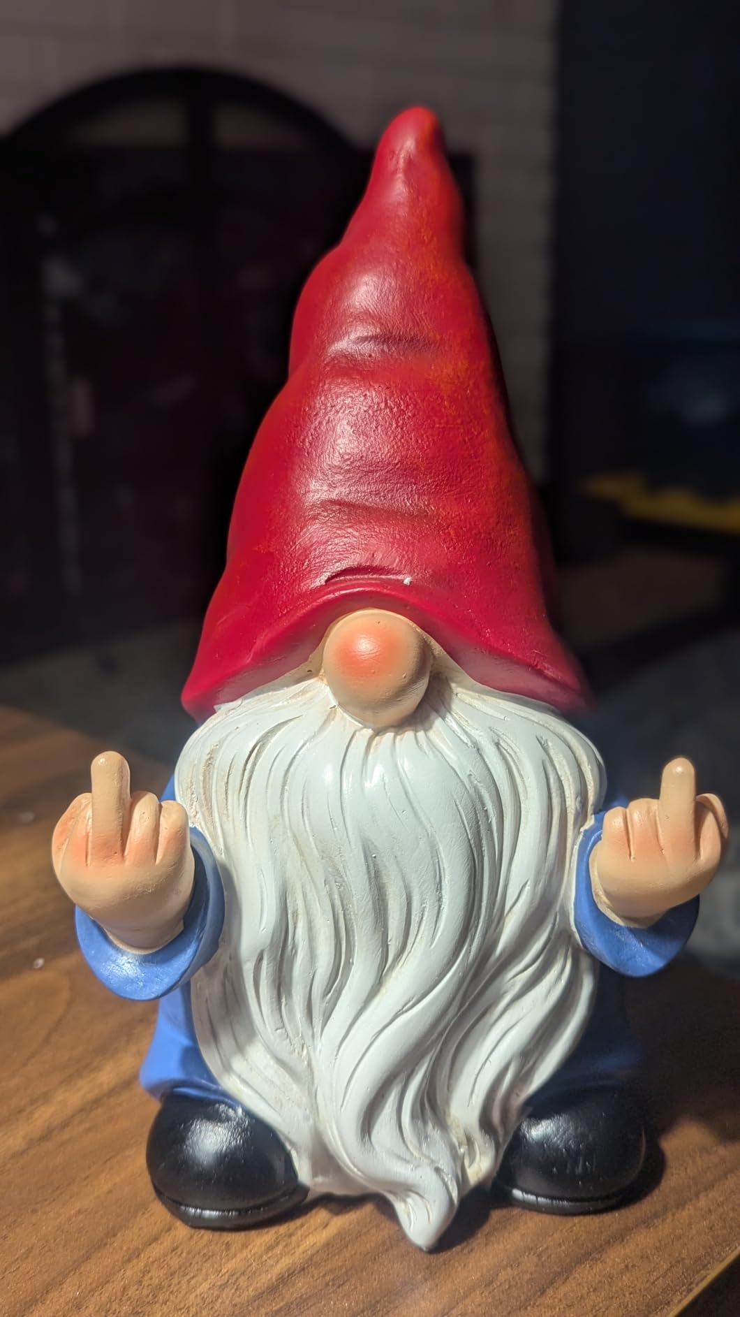 Middle Finger Gnome Statue 7.8in, Naughty Garden Gnome Statue Decoration and Lawn Ornament - Funny Garden Gnomes for Outdoor or Home Decor customer photo 1