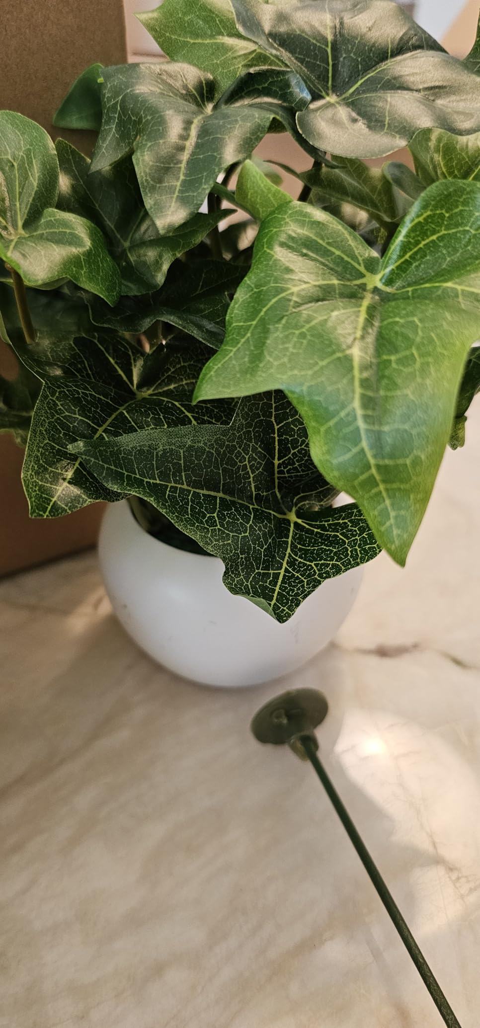 LE TAUCI Ceramic Plant Pots, Set of 2, 10 + 12 Inch Plant Pot, Elegant Planters for Indoor Plants, Sturdy Planter with Drainage Hole and Saucers, Perfect for Home Decor, Reactive Glaze Beige customer photo 2