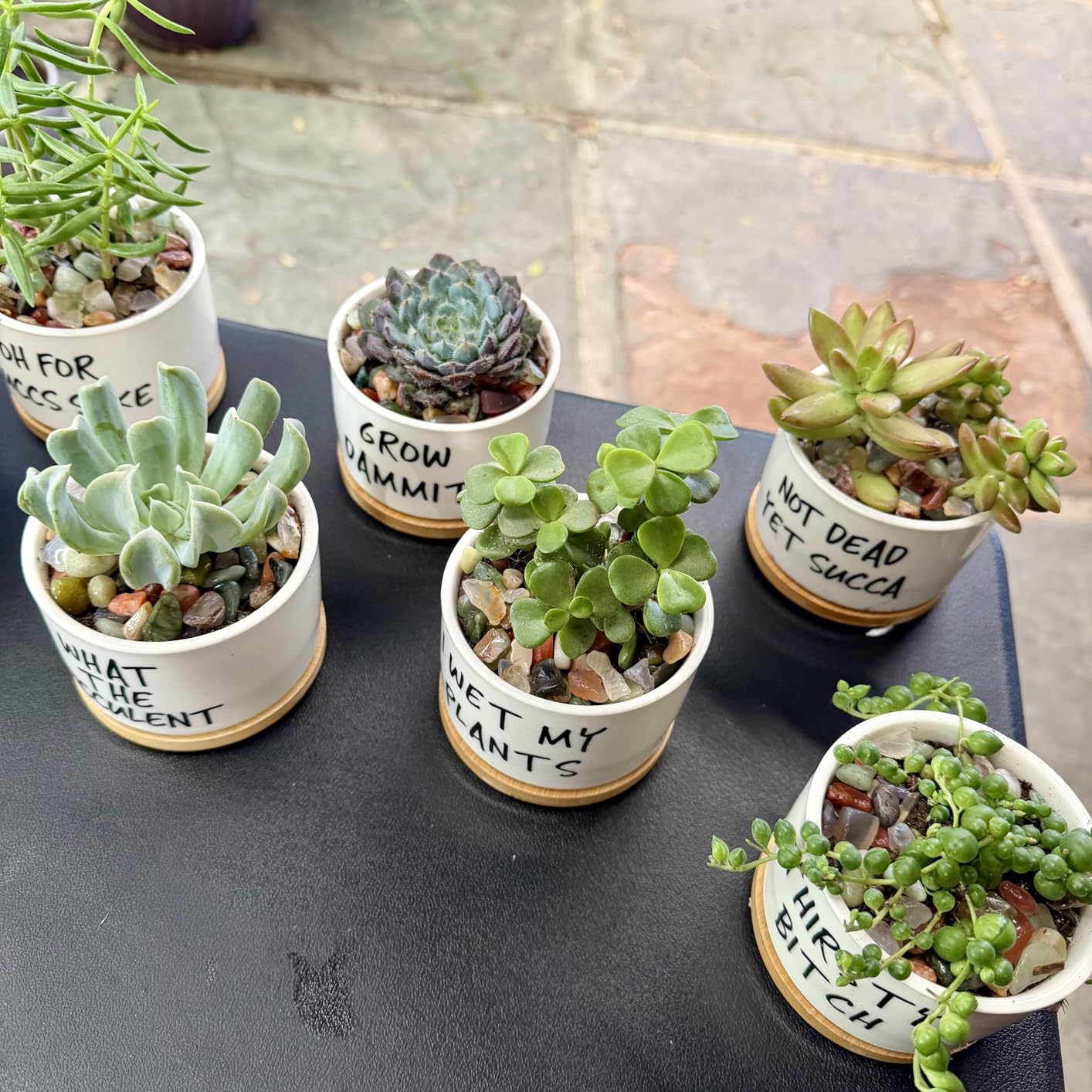 9 Pcs Funny Succulent Pots Cute Aloe Cactus Planter with Bamboo Tray Ceramic Accessories White Mini Flower Drainage Tray Pots Indoor Outdoor Plants customer photo 1