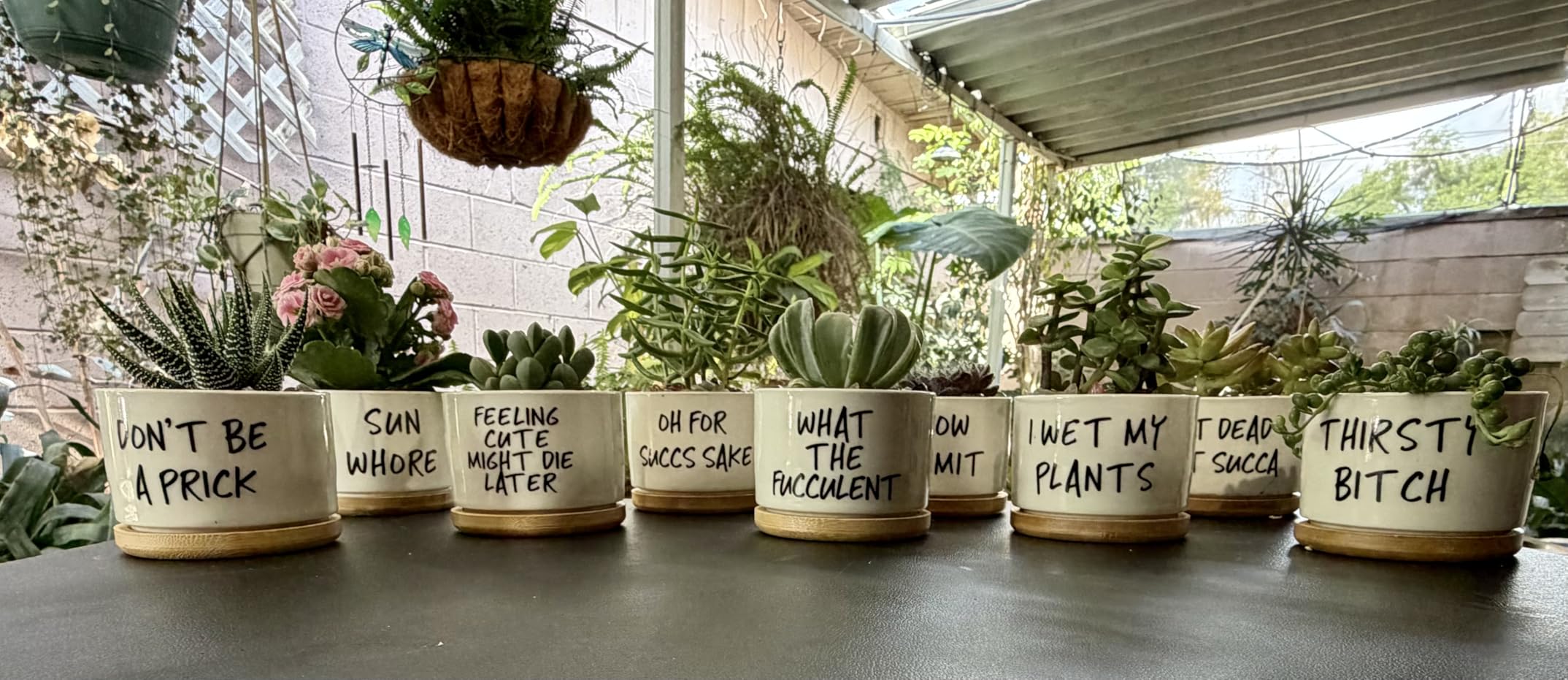 9 Pcs Funny Succulent Pots Cute Aloe Cactus Planter with Bamboo Tray Ceramic Accessories White Mini Flower Drainage Tray Pots Indoor Outdoor Plants customer photo 2