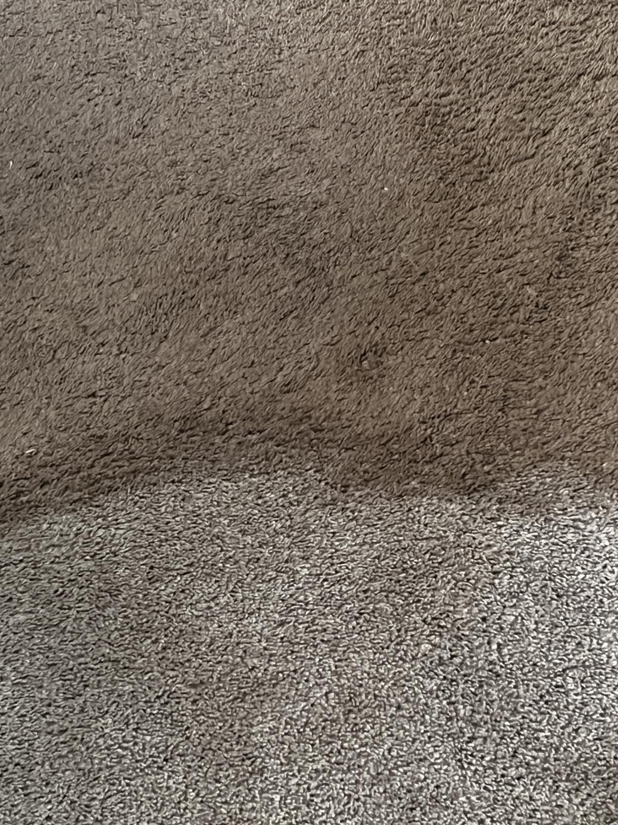 BISSELL Little Green Max Pet SmartMix Portable Carpet Cleaner, 38572 customer photo 1