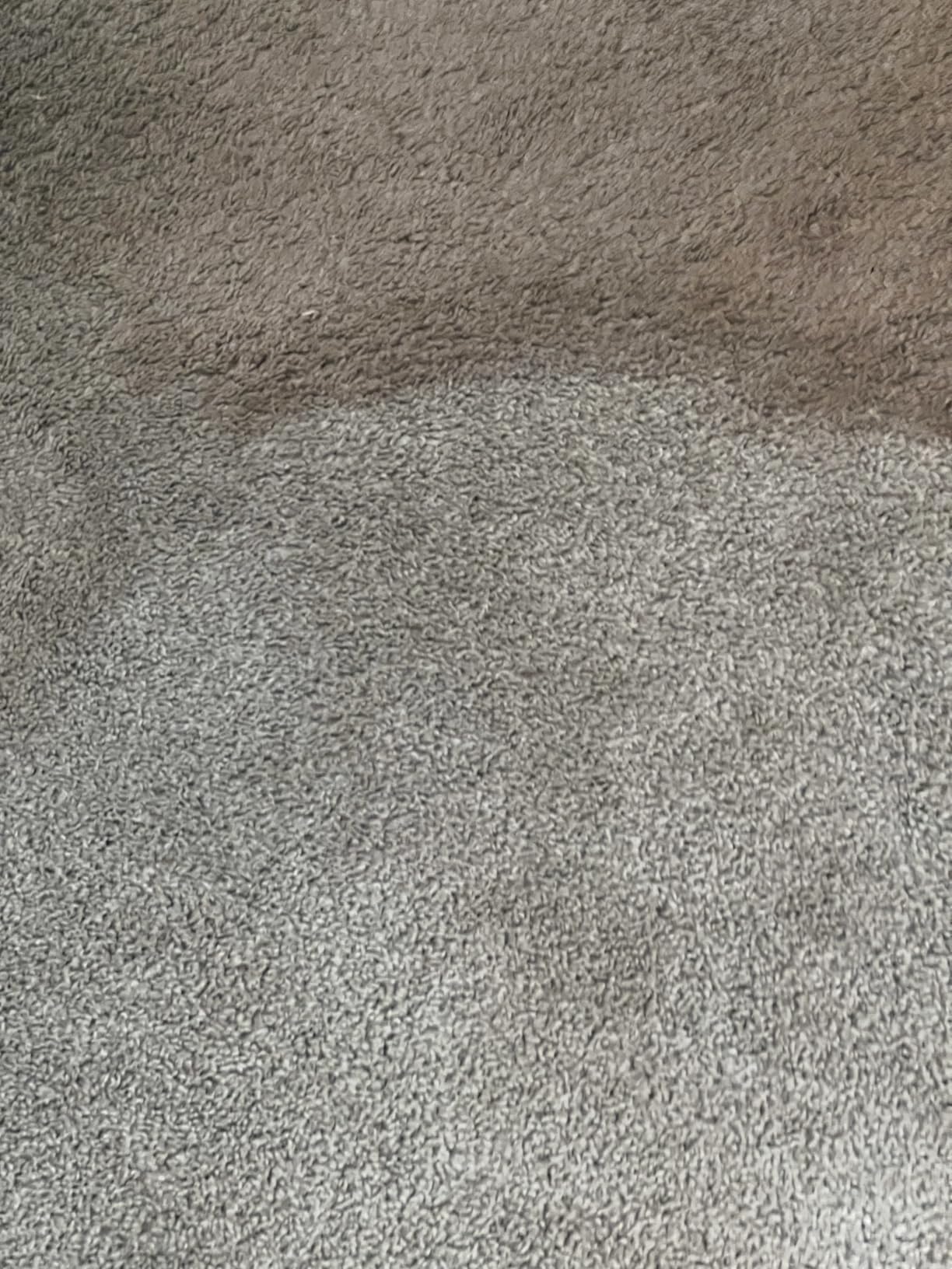 BISSELL Little Green Max Pet SmartMix Carpet Cleaner, 38572 | SmartMix Technology auto-mixes solution; self-cleaning tough stain tool; upholstery & car detailing customer photo 2