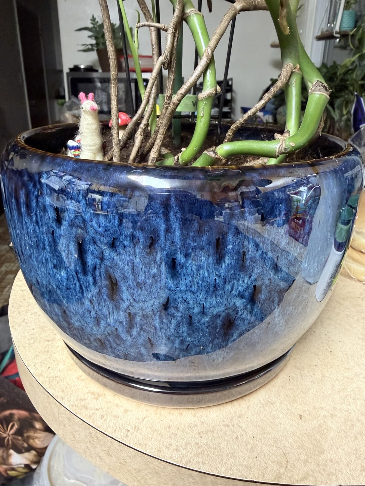 SQOWL Ceramic Planter 8 Inch, Pot for Indoor Outdoor Plants, Round Ceramic Plant Pot with Drainage Hole and Saucer, Modern Flower Pot, Glazed Blue customer photo 2