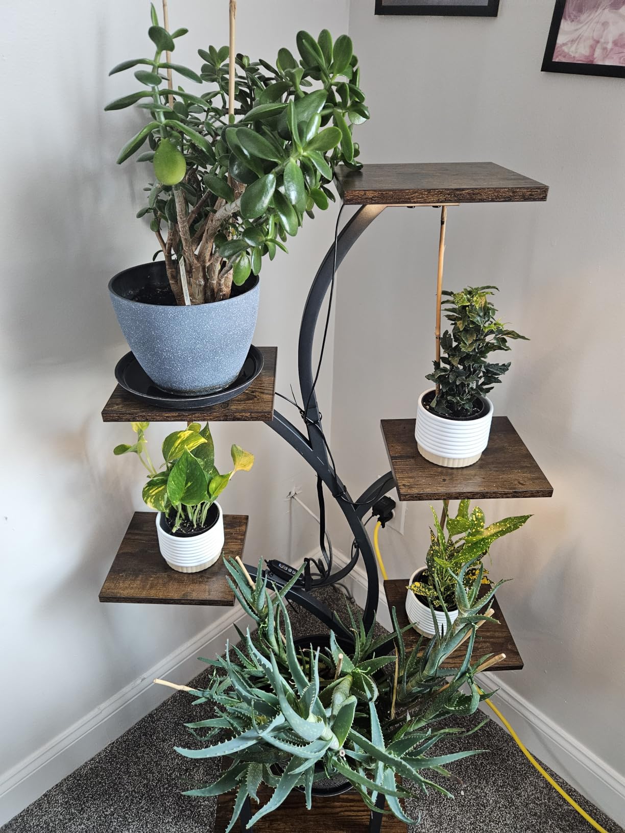 BACEKOLL Plant Stand Indoor with Grow Lights, 7 Tiered Indoor Plant Shelf, 49