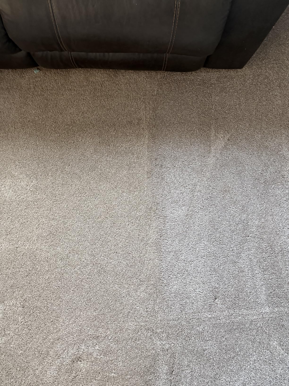 BISSELL TurboClean, Upright Carpet Cleaner, Pro Max Clean & Protect + Oxy Urine Eliminator Formula Included, 3952 customer photo 2