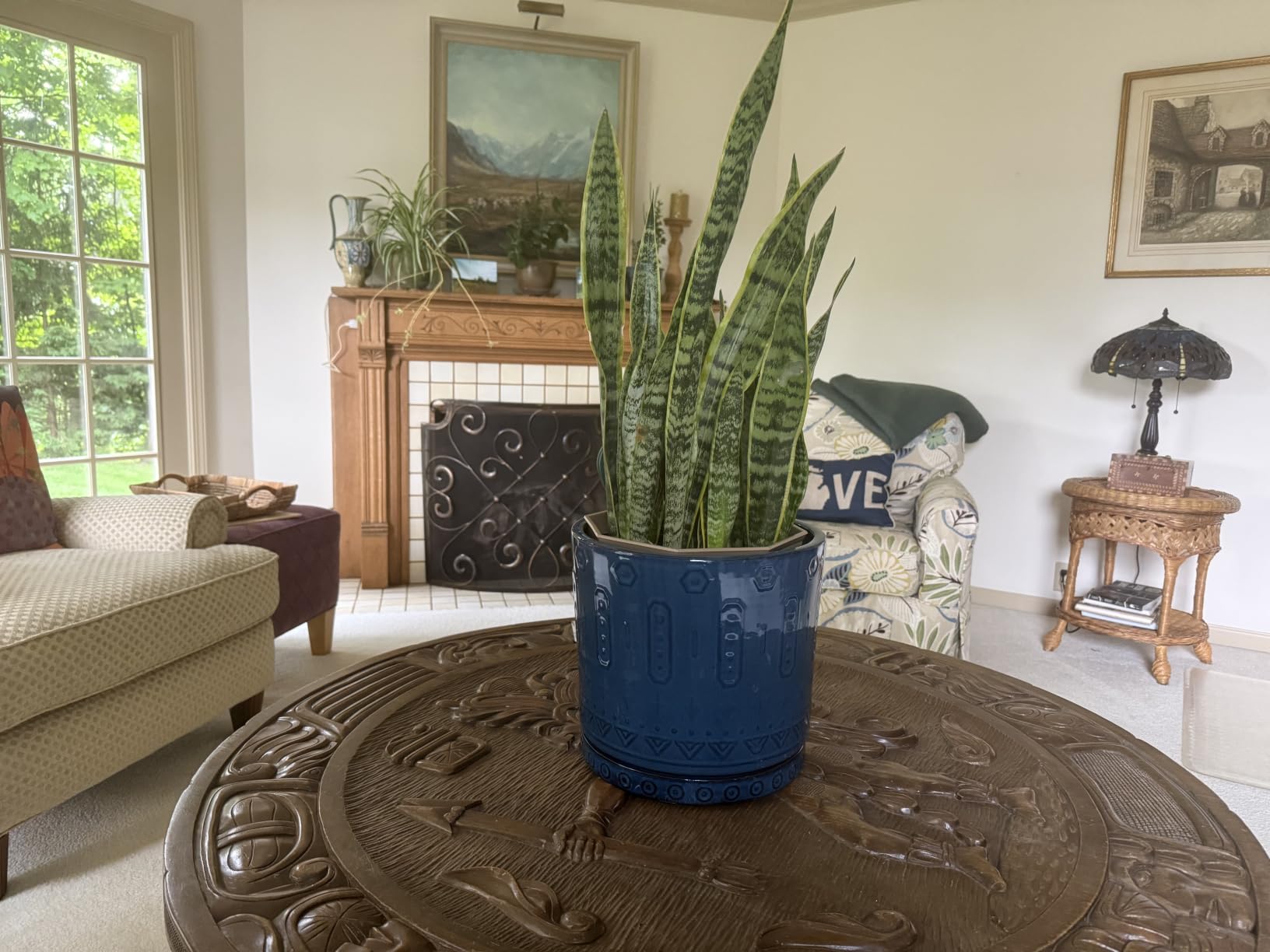 Eightpot 12 Inch Pot for Plants - Ceramic Planter for Indoor Plants Large Plant Pot with Drainage Holes and Saucer Outdoor Flower Pot Decorative Round Planter for Porch Office Decor Blue customer photo 1