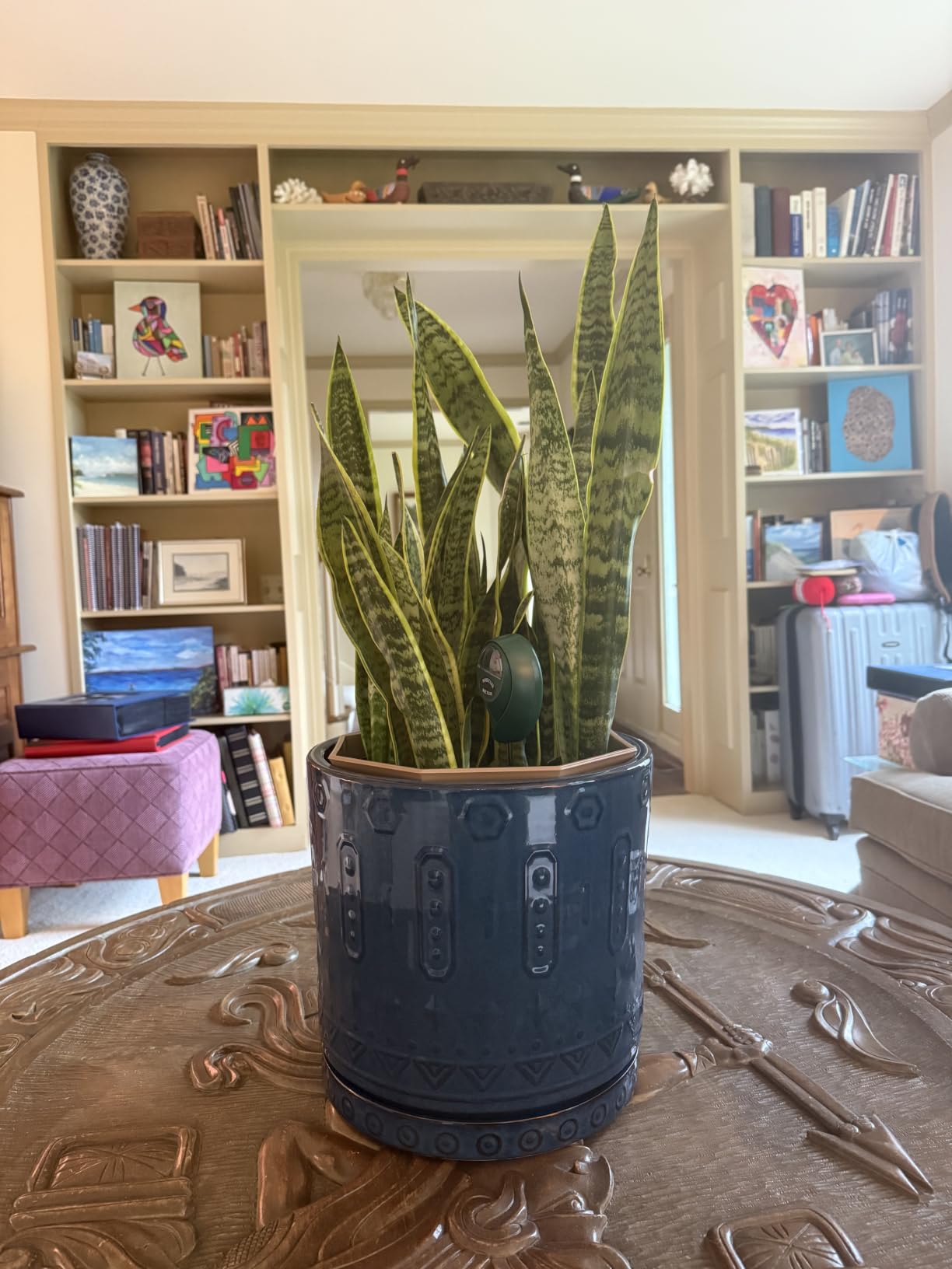 Eightpot 12 Inch Pot for Plants - Ceramic Planter for Indoor Plants Large Plant Pot with Drainage Holes and Saucer Outdoor Flower Pot Decorative Round Planter for Porch Office Decor Blue customer photo 2