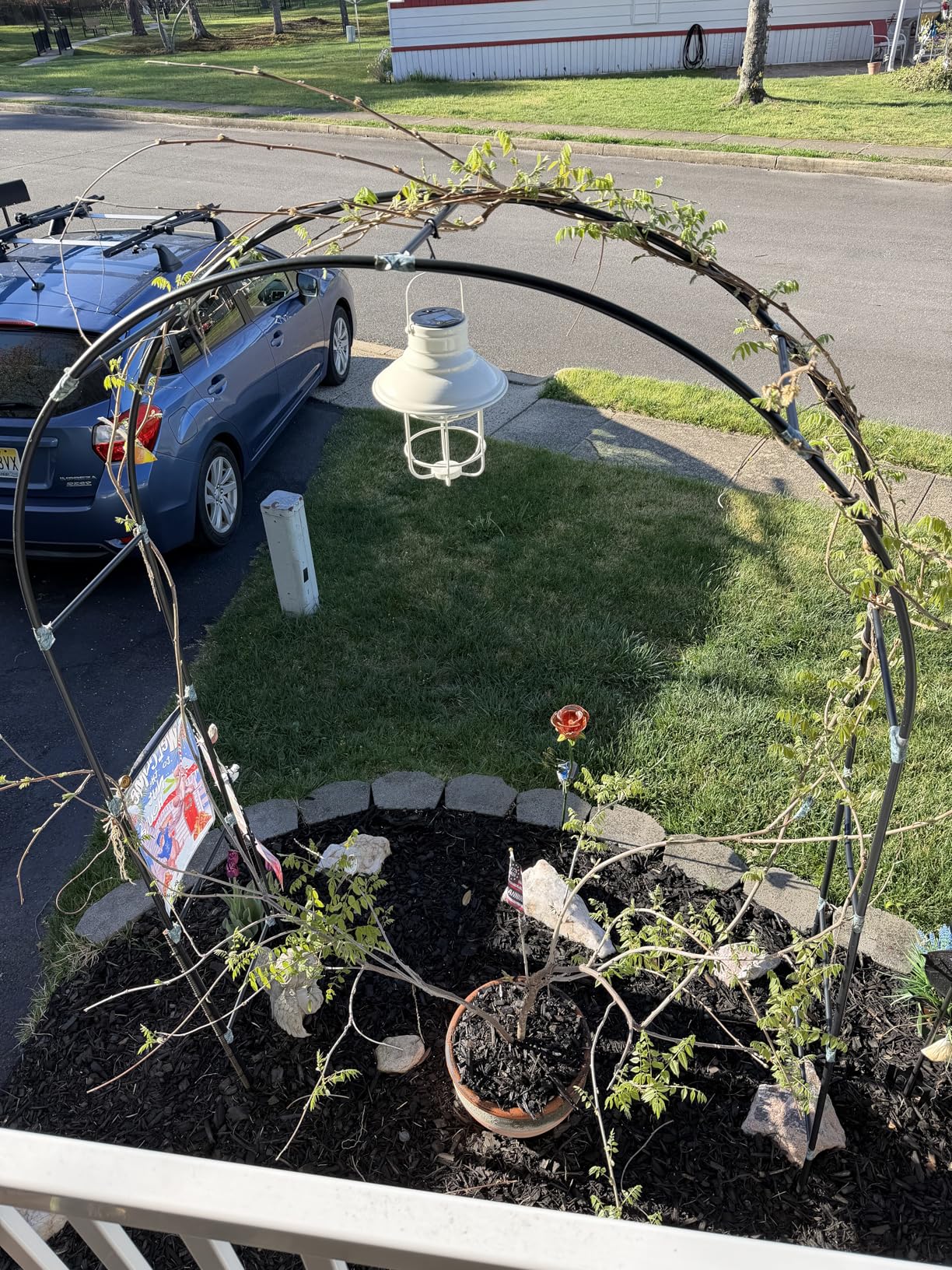 Garden Arch Trellis for Climbing Plants Outdoor Wedding Arches for Ceremony Black Metal Garden Arbor Indoor Garden Arches for Party Decoration 7.9ft Wide X 6.4ft High (Black Garden Arch) customer photo 1
