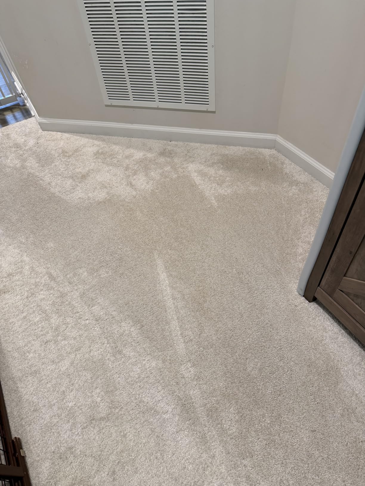 BISSELL Revolution HydroSteam Carpet Cleaner, Upright Deep Cleaner, HydroSteam Technology, 4-inch Self-Cleaning Tough Stain Tool & Formulas Included, 4123 customer photo 2