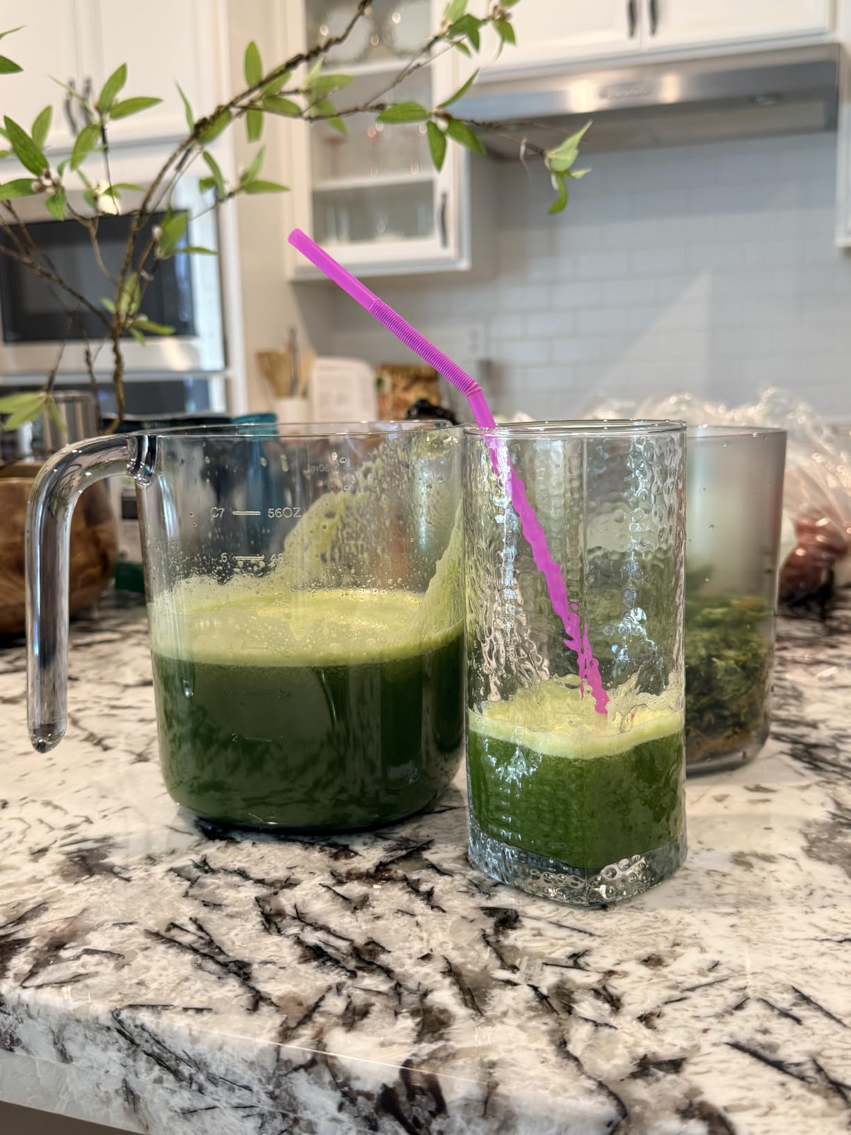 Nama J2 Cold Press Juicer, Hands-Free, Wide Mouth Hopper, Zero Waste Masticating, Black customer photo 2