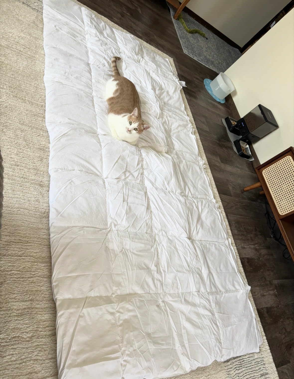L LOVSOUL Goose Feather Down Fiber Comforter Queen Size, 100% Organic Cotton Fabric Duvet Insert,1200TC,750+Fill Power, Hotel Collection, All Season White Bedding Comforters with 8 Tabs customer photo 2