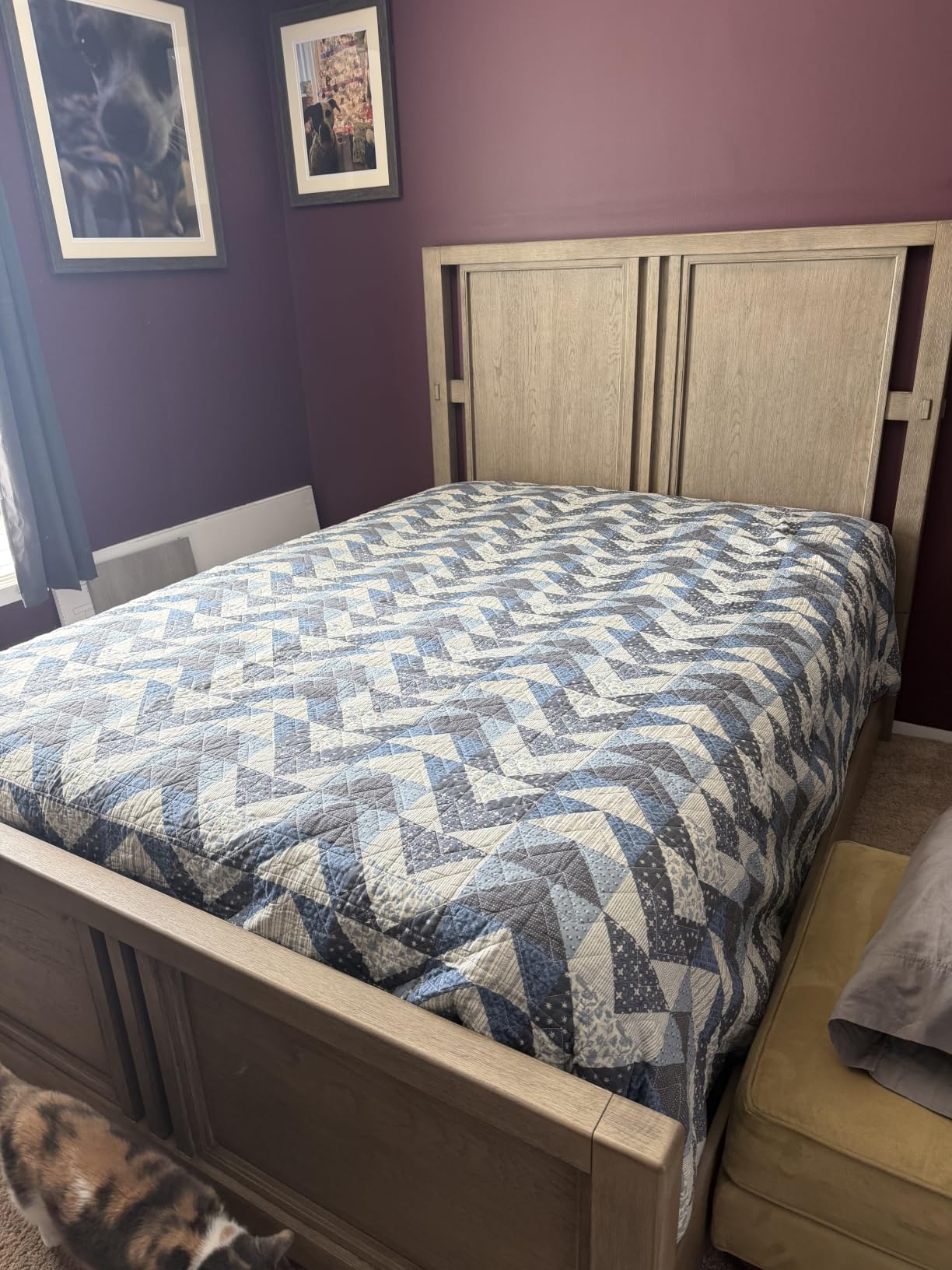 Serta baselogic Level 1 Adjustable Base Bed Frame - Queen - Head Adjustability, Wired Remote, Removable Legs for Zero-Clearance Design, and Foldable for Convenient Mobility and Storage customer photo 1