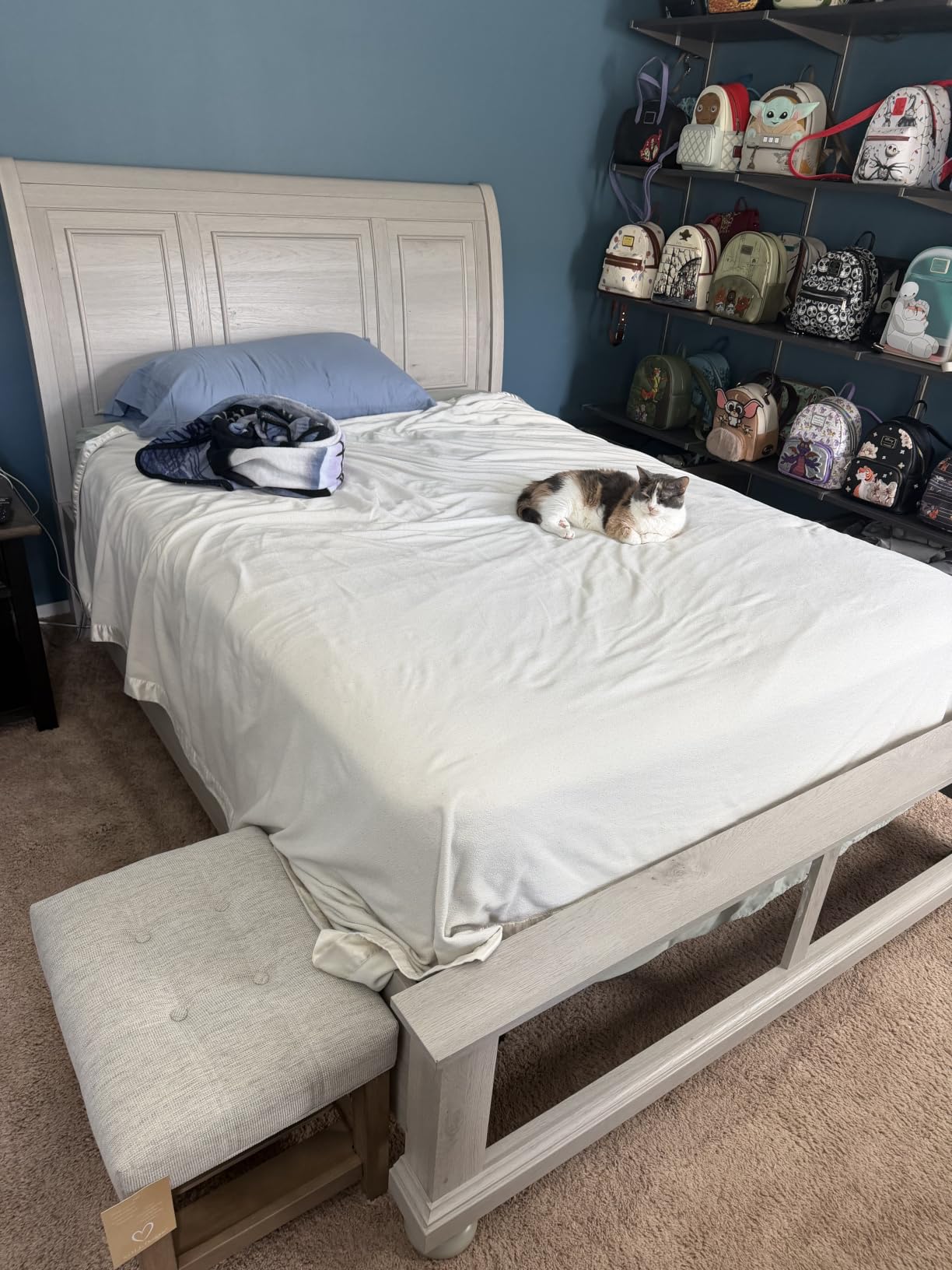 Serta baselogic Level 1 Adjustable Base Bed Frame - Queen - Head Adjustability, Wired Remote, Removable Legs for Zero-Clearance Design, and Foldable for Convenient Mobility and Storage customer photo 2