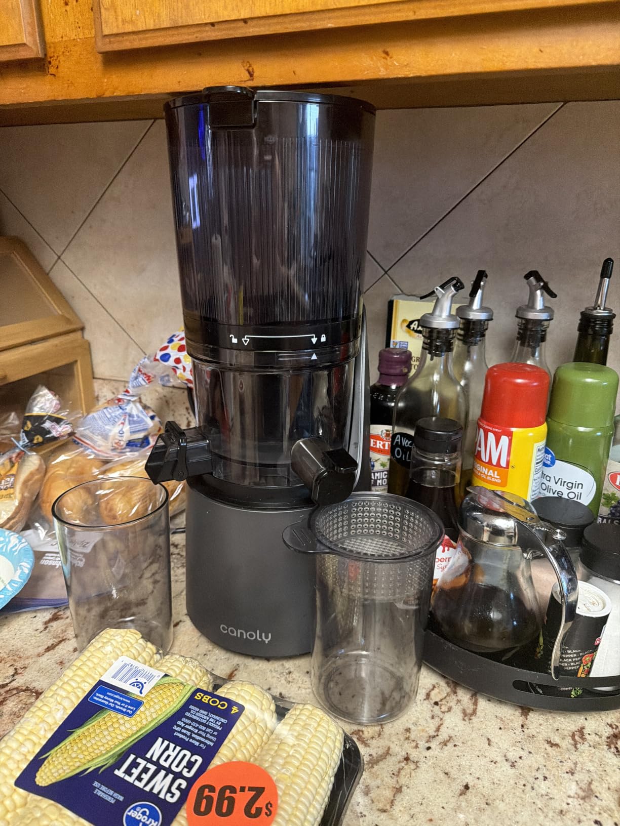 Canoly 3-in-1 Cold Press Juicer C16, Makes Juice, Sorbet & Nut Milk, 6