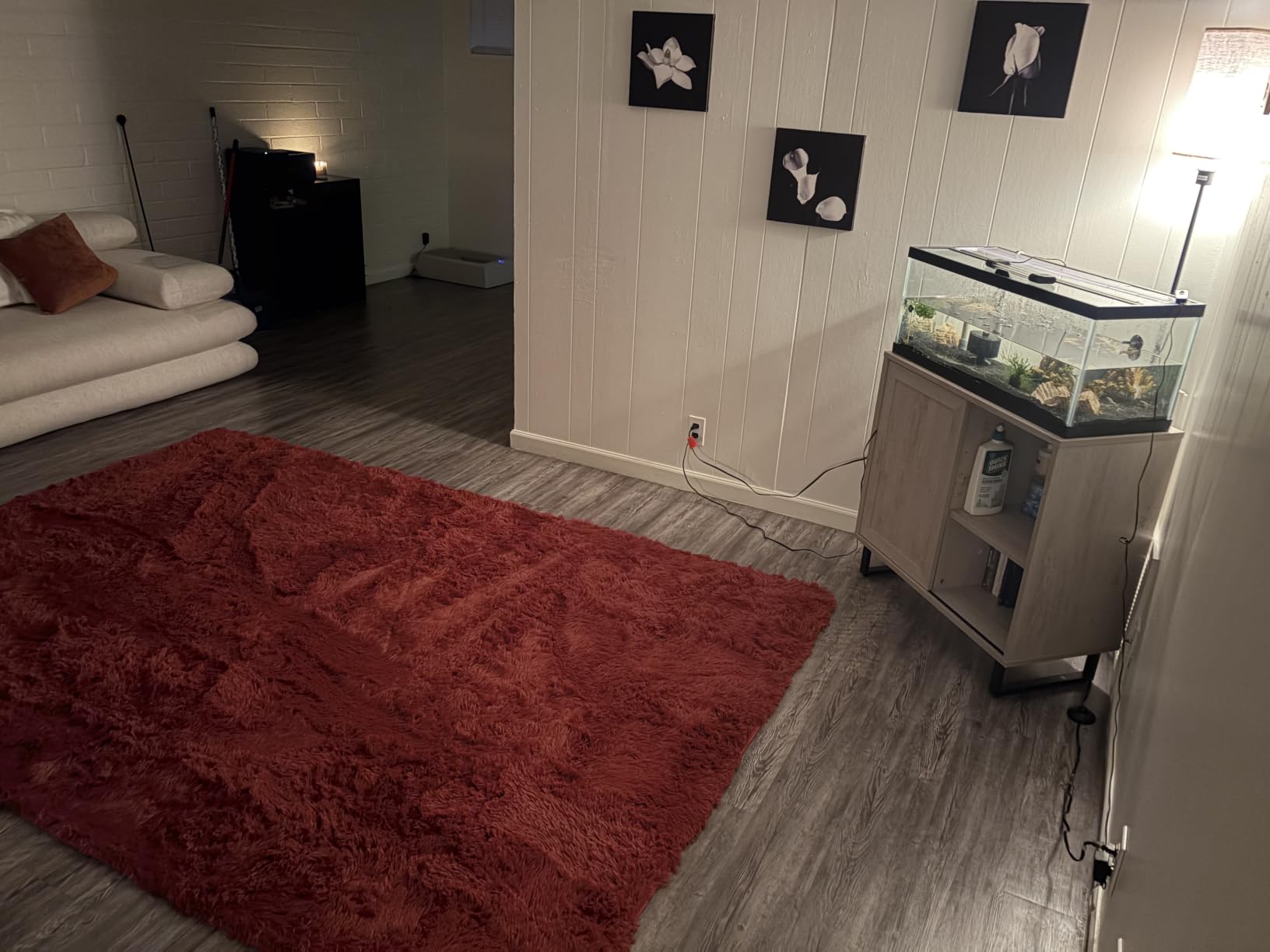 Amdrebio Burnt Orange Shag Plush Large Area Rug 6x9 for Living Room Bedroom | Fuzzy Shaggy Thick Big Rustic Carpet, Classroom Apartment Playroom Decor customer photo 2