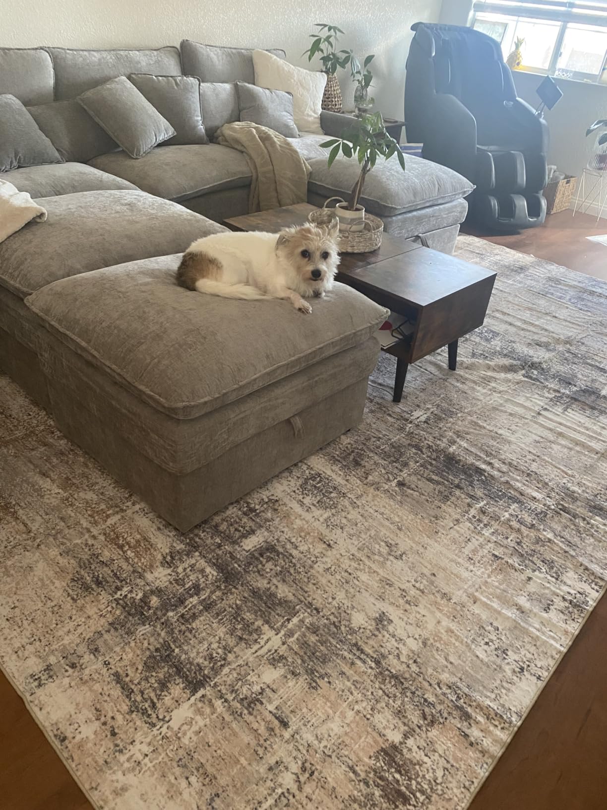 8x10 Area Rug for Living Room, Abstract Washable Non-Slip Large Rugs, Gold - Soft Neutral Carpet for Bedroom, Dining Room, Home Office Nursery Indoor, Stain Resistant, Low Pile, Foldable customer photo 1