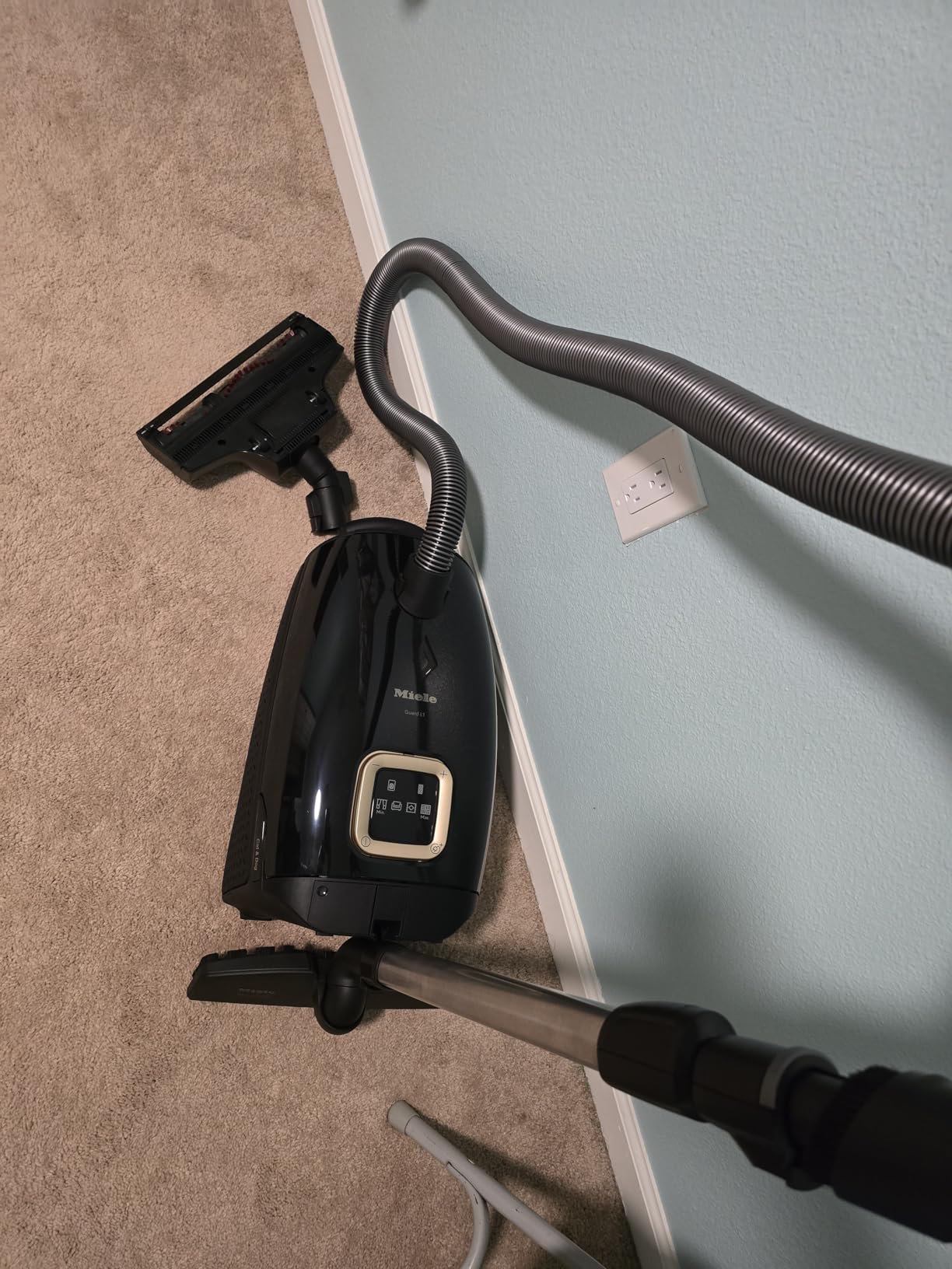 NEW Miele Guard L1 Cat & Dog Bagged Canister Vacuum for Pet Owners with Odor-Reducing Active AirClean Filter, TurboTeQ Floorhead, and AllTeQ Universal Floorhead, in Obsidian Black/Rose Gold customer photo 1