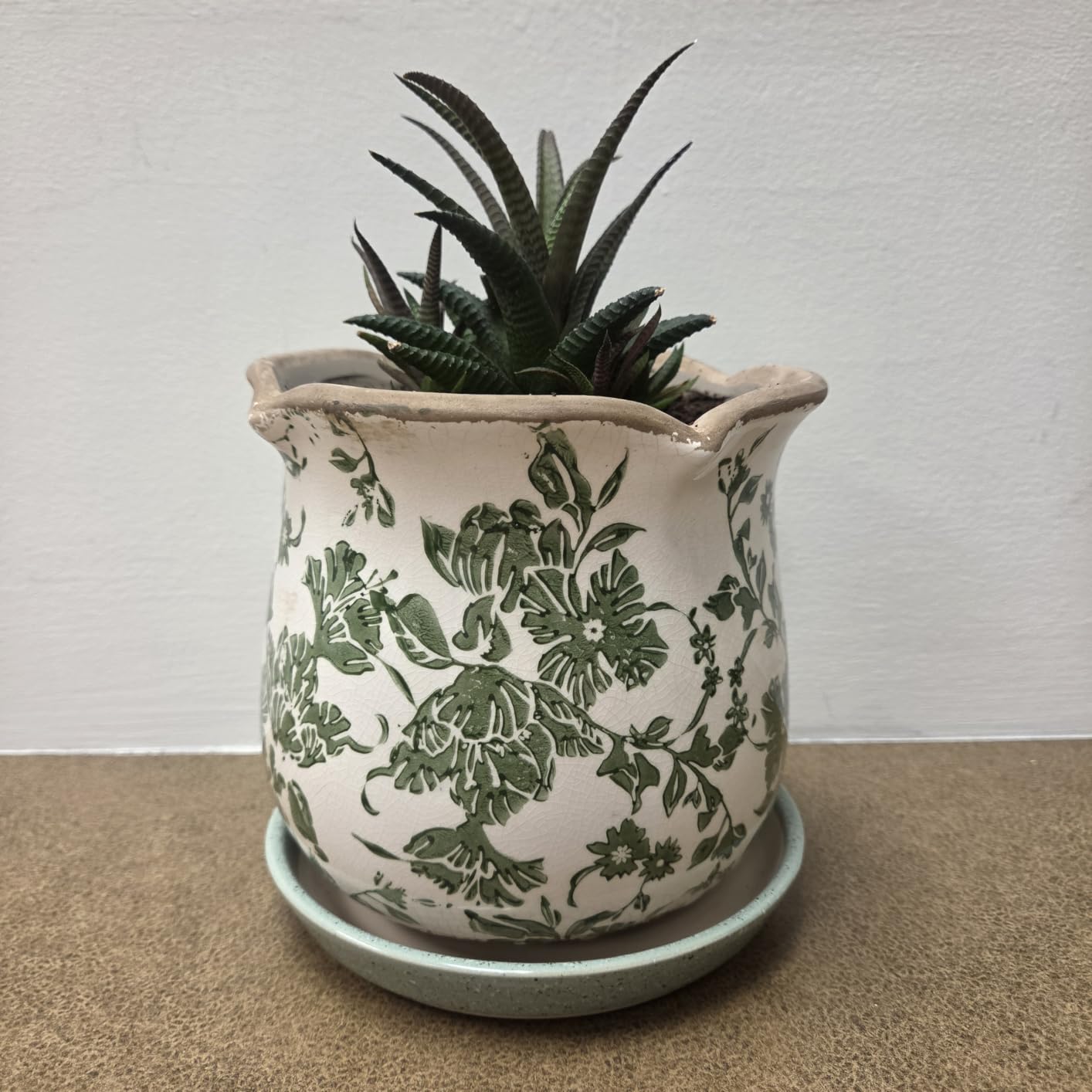 Ceramic-Planters-for-Indoor-Plants with Saucer, 6 inch Vintage Ice Crack Glaze Plant Pots with Drainage Holes, Decorative Flower Pots for Outdoor Garden Home Decor, Tuscan Pot for Plant customer photo 1