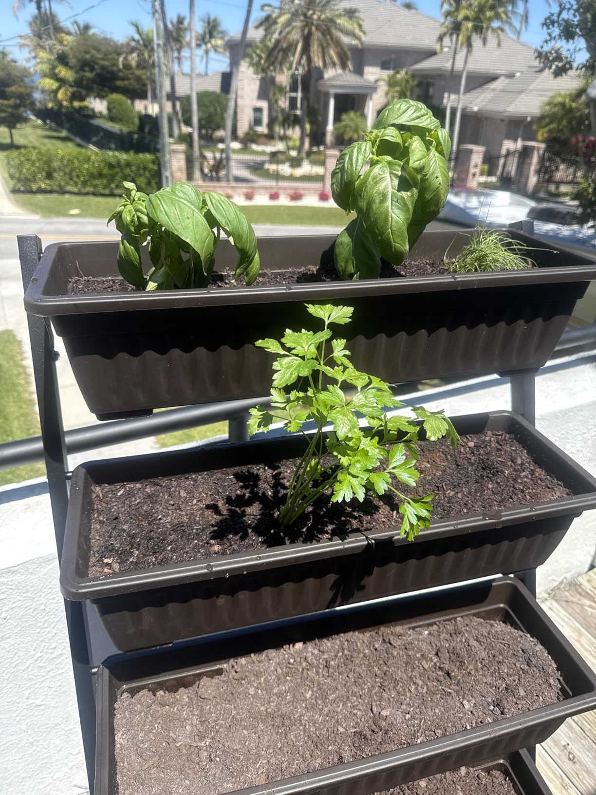 5-Tier Vertical Garden Bed Planter Boxes with Wheels, Drainage System & Storage Space, Mobile Vertical Garden Planter with 5 S-Hooks for Plants Vegetables Flowers Herbs in Garden Patio Yard customer photo 1