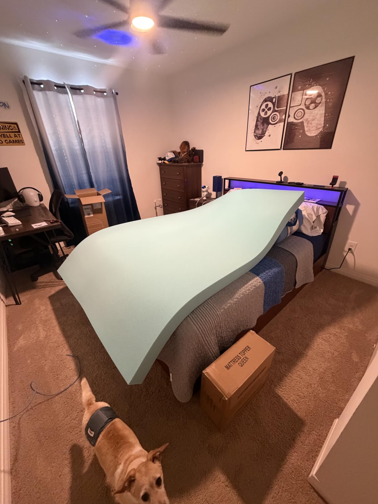 WhatsBedding 5 Inch Queen Mattress Topper Breathable Bamboo Viscose Air Layer customer photo 2