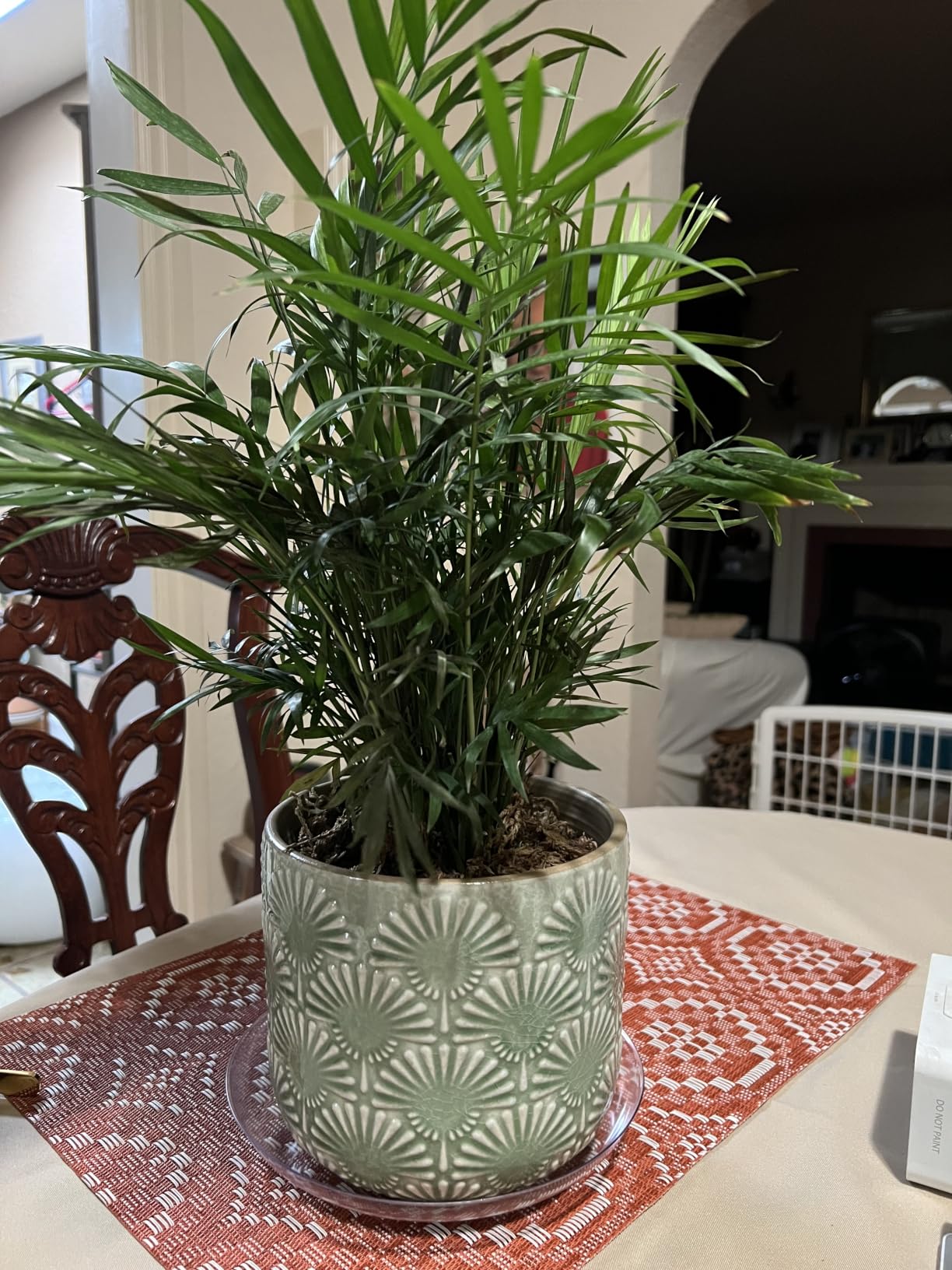Boho Ceramic Flower Pot, 6.7