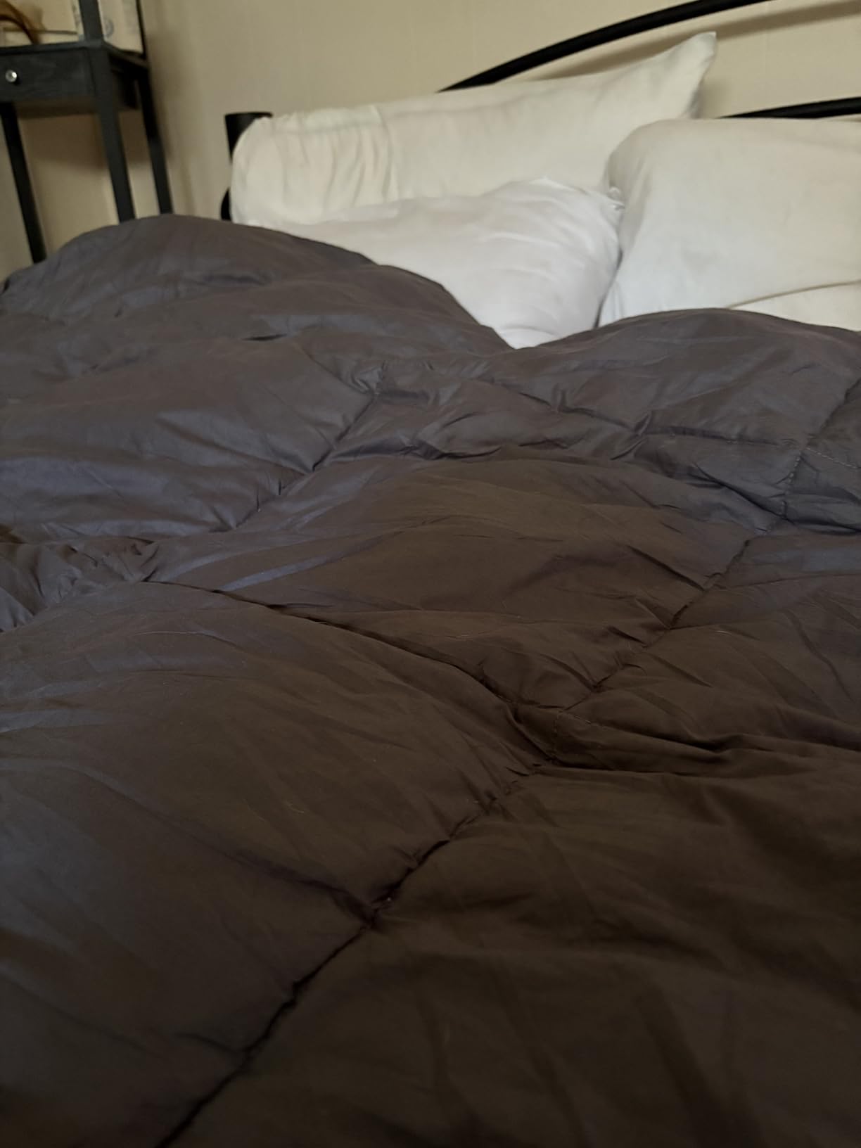 75% Canadian Goose Down Comforter King Size, 100% Cotton Shell | Ultra Soft 850 Fill Power All Season Duvet Insert, Hotel Luxury Bedding Comforters,106