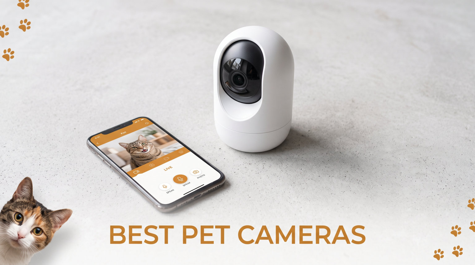 best pet cameras