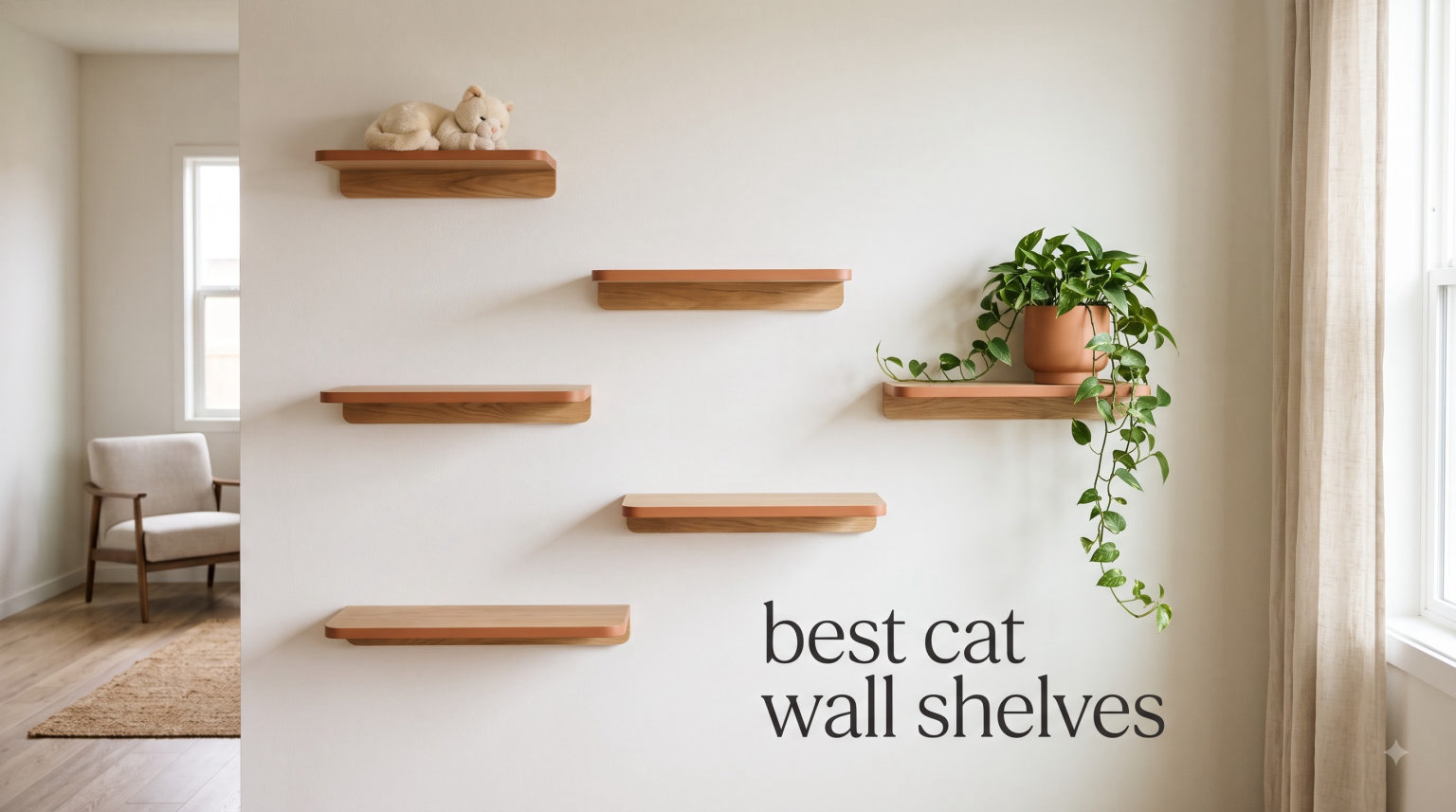 best cat wall shelves