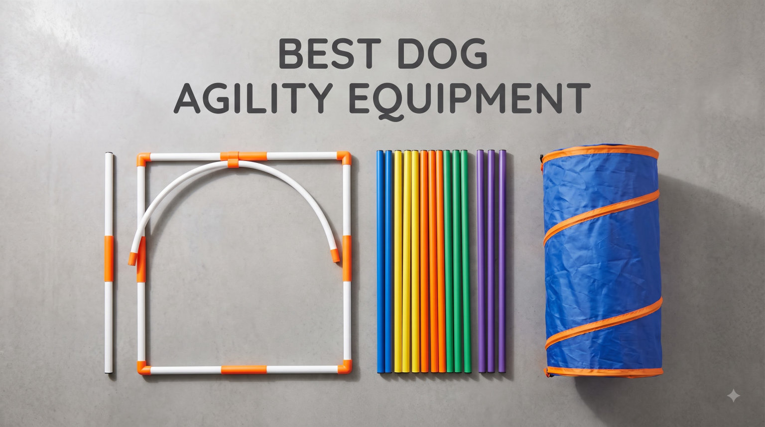 best dog agility equipment