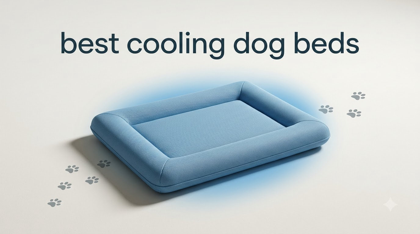 best cooling dog beds