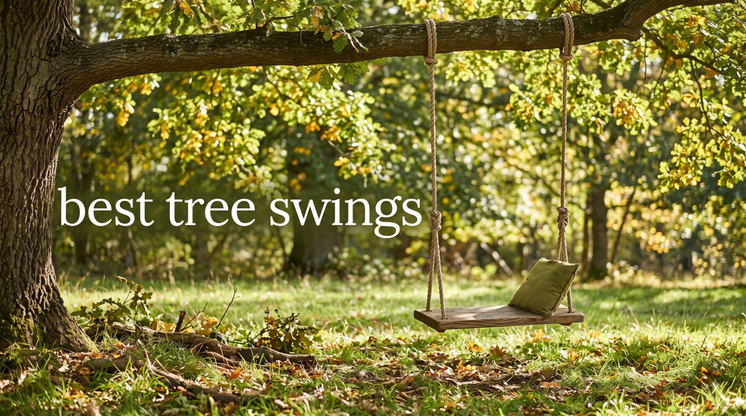 best tree swings