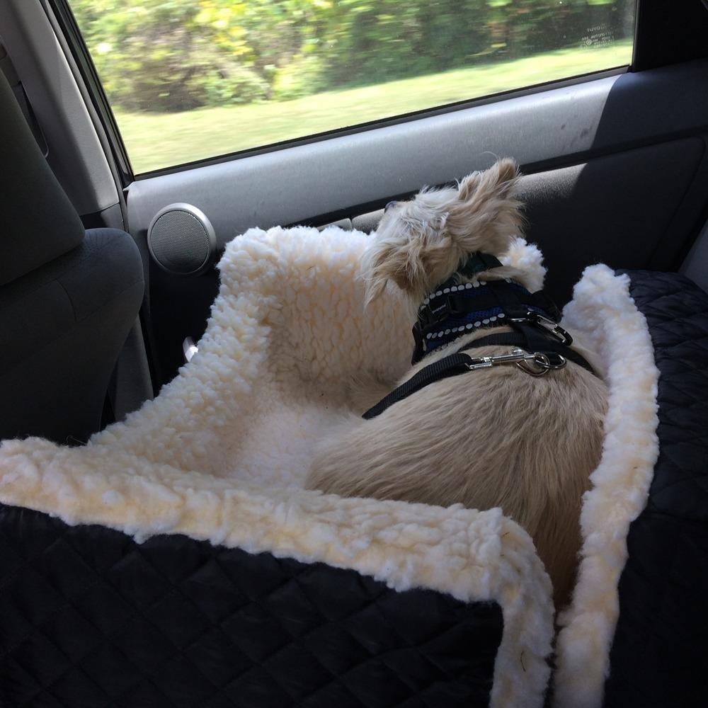 Snoozer Lookout I Car Seat - Dog Car Seats for Small Dogs, Puppy Booster Bed for Small & Medium Sized Pets Up to 25 Lbs, Elevated, Washable - Medium, Black Quilted customer photo 2