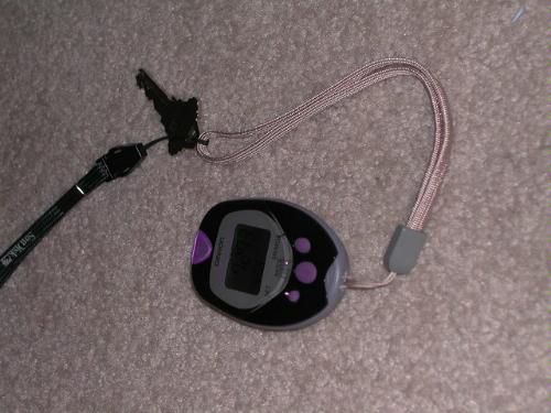 Omron HJ-720ITC Pocket Pedometer with Health Management Software customer photo 1