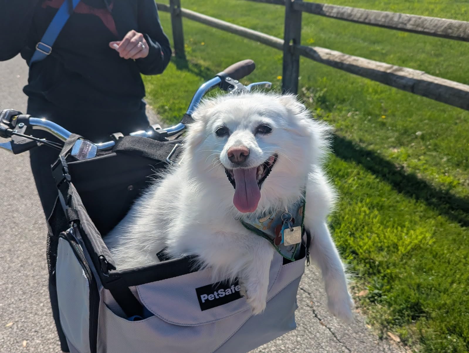 PetSafe Happy Ride Nylon Bicycle Basket for Dogs & Cats - Detachable Front-Mount Carrier with Shoulder Strap & Removable Sun Shield - Safe Transport for Pets Weighing Up to 13 lbs customer photo 1