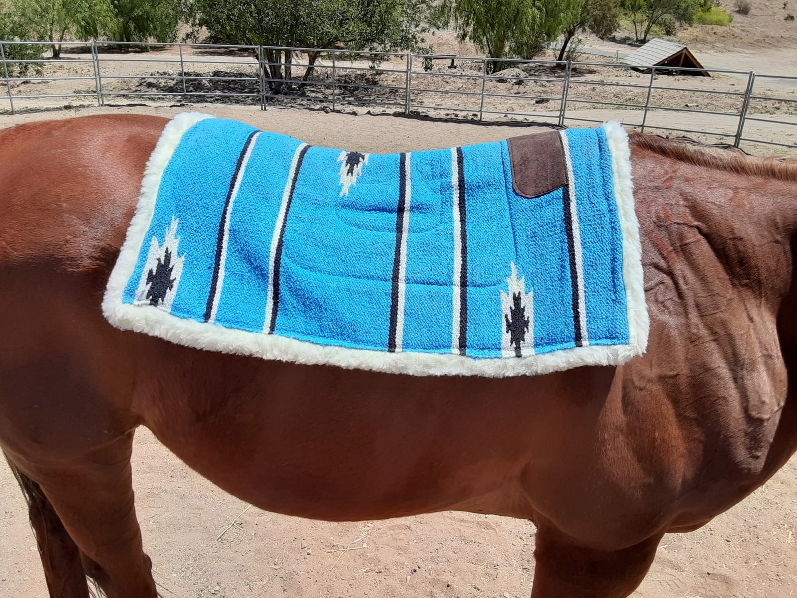 Tough 1 Tough-1 Square Saddle Pad/Fleece Bottom customer photo 2