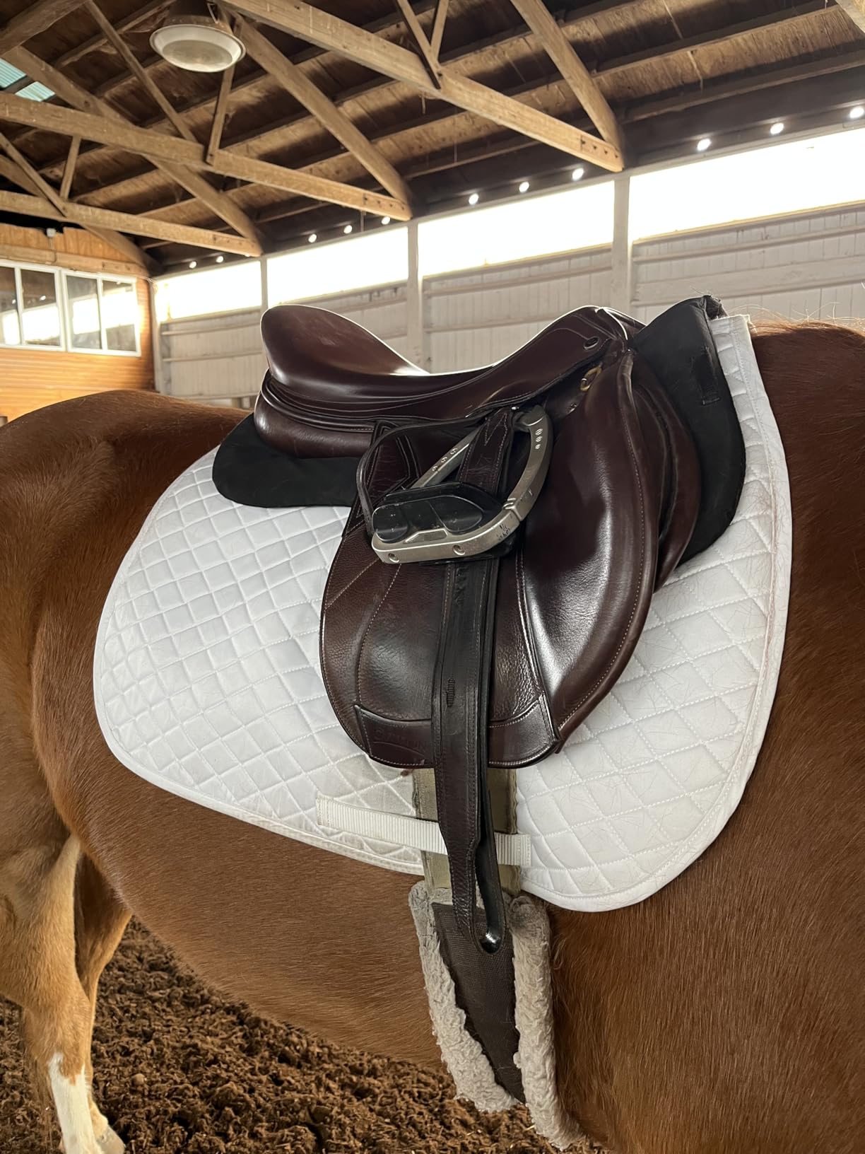 TuffRider Basic All Purpose Horse Riding Saddle Pad customer photo 1