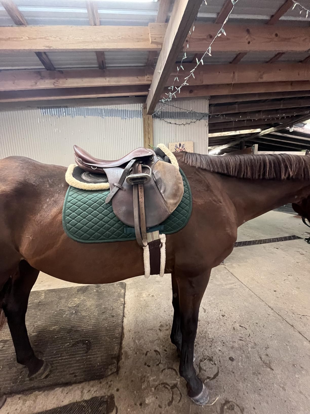 TuffRider Basic All Purpose Horse Riding Saddle Pad customer photo 2