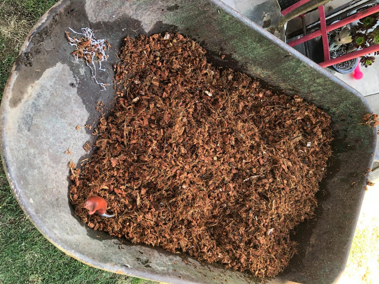 PlantBest Coco Mulch Compressed Block 9.1 lb - Expands to 64 Quarts and Up to 17.5 Sq. Feet, Organic Coconut Mulch for Landscaping, Garden Beds, Trees, Plants & Weed Control customer photo 2