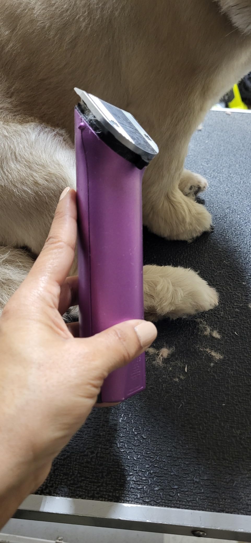 Wahl Professional Animal Arco Pet, Dog, Cat, and Horse Cordless Clipper Kit, Champagne (8786-452) customer photo 1