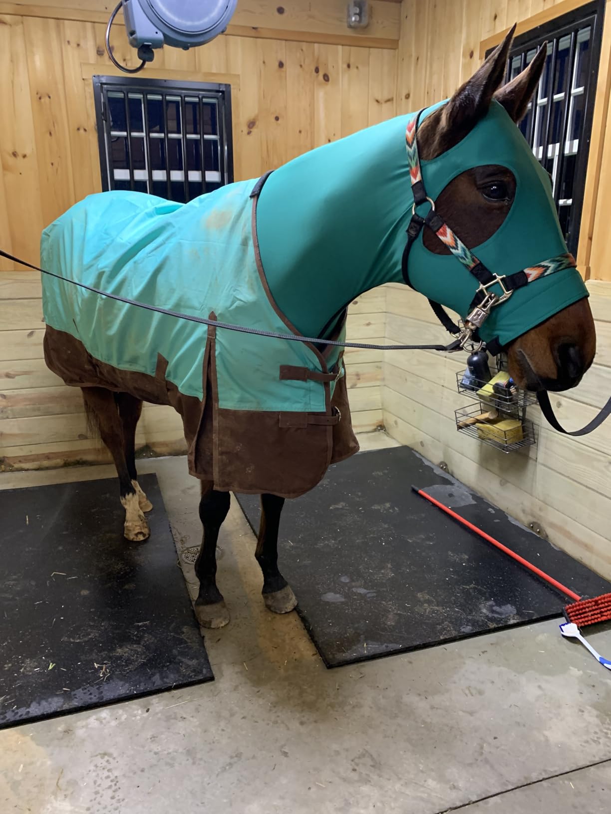 Tough 1 600 Denier Waterproof Horse Sheet customer photo 1