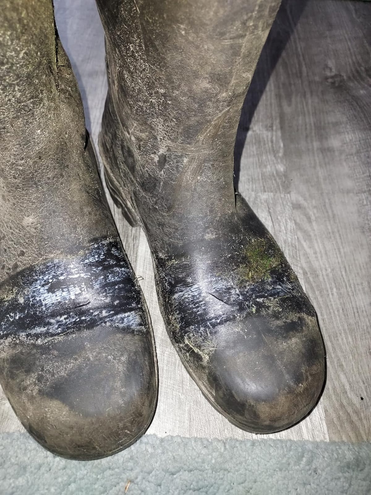 DUNLOP Chesapeake Rubber Boots for Men & Women - PVC - Waterproof Work boots - Lightweight Garden, Rain & Fishing Boots - Safety boots with Steel Toe and Wide Calf - Black - Size 3-15 customer photo 1