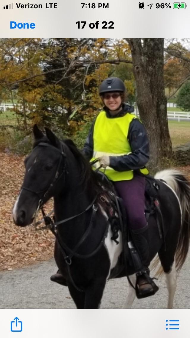 Reinsman Contoured Trail Pad with Breathable Non-Slip Tacky Too Bottom customer photo 2
