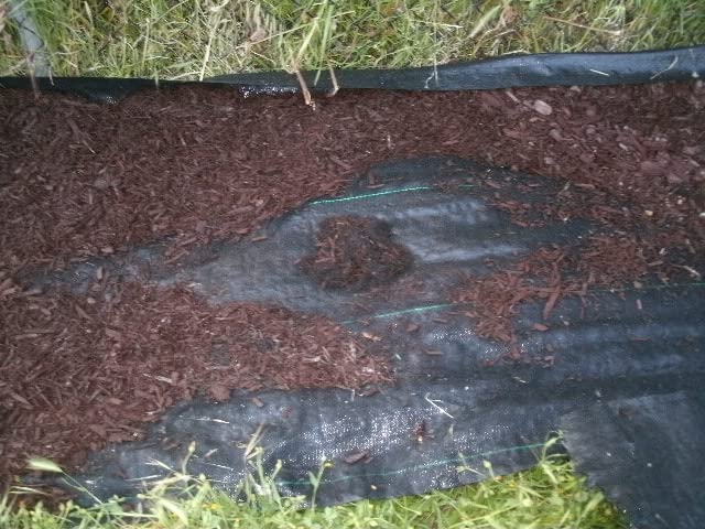 Dewitt Professional Max Weed Barrier Fabric 4.1 oz, 4 x 250 Ft, Heavy-Duty | Weed Control and Ground Cover for Gardens, Beds, Mulch, Landscaping, and Yard Areas, Black customer photo 2